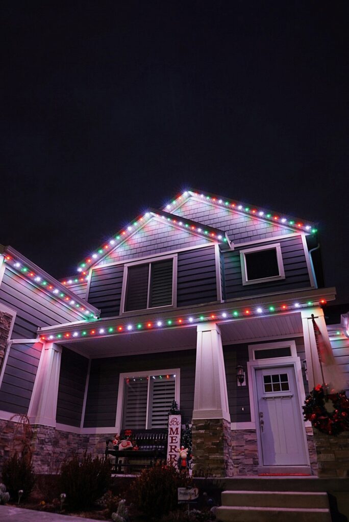 jelly fish christmas lights